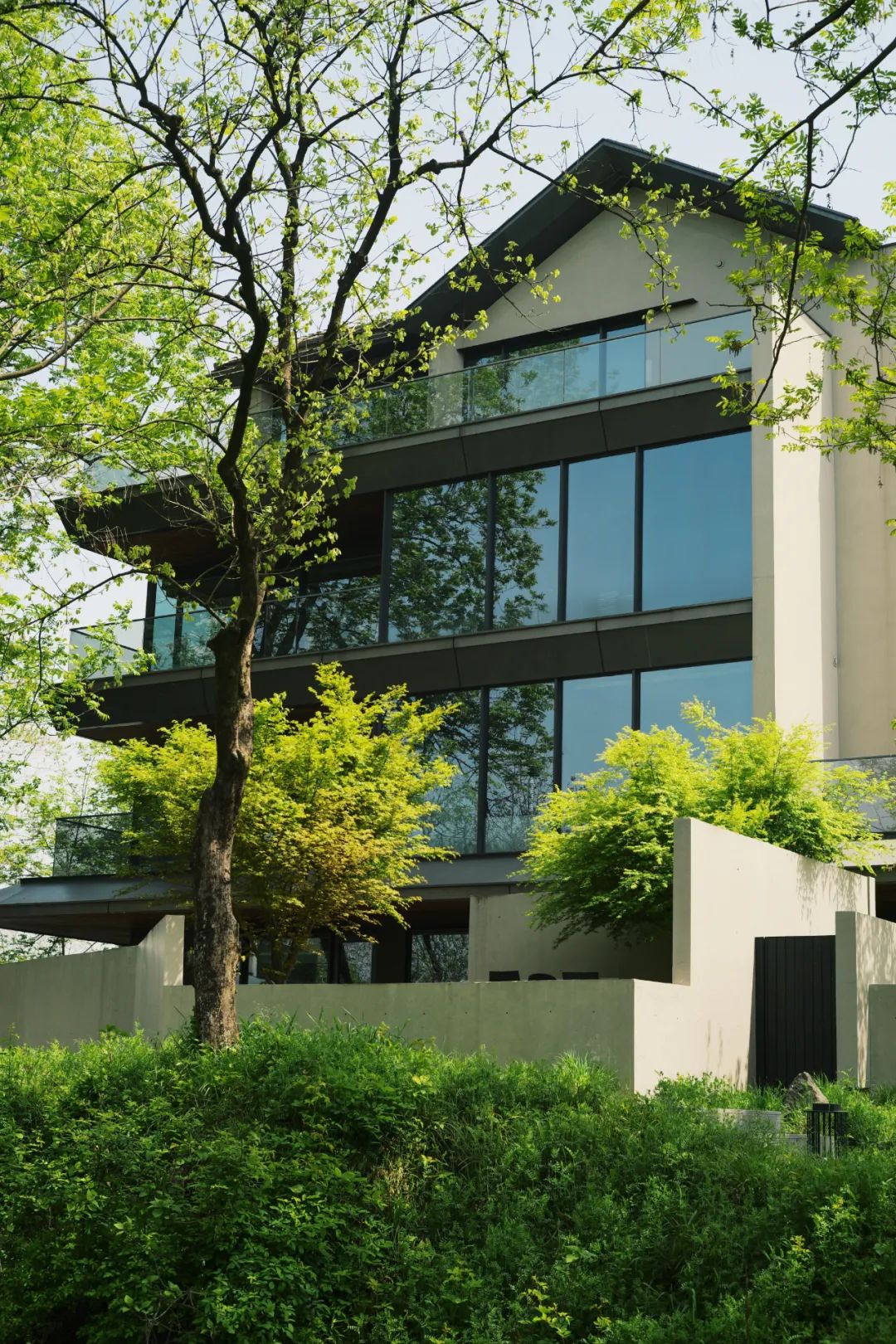 春天的潺潺溪水,春天的顶流