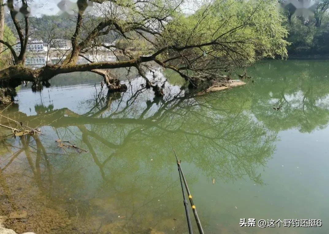 西南风鱼不开口什么风最适合钓鱼,为何西南风鱼不好钓