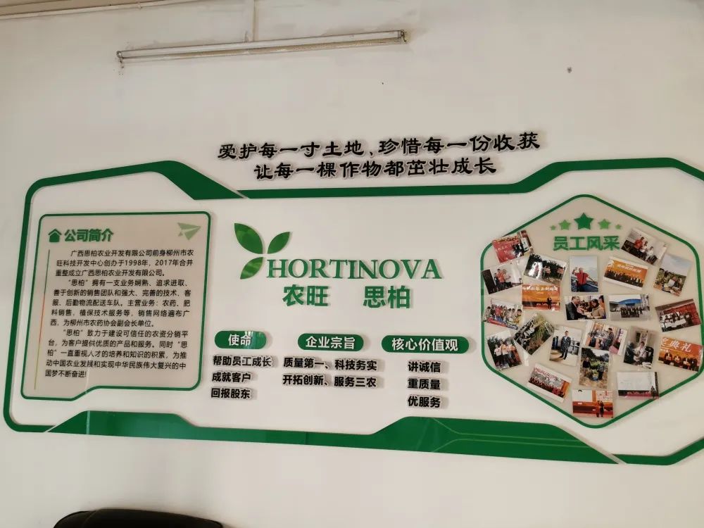 迪斯科品牌大使|严苛之下，更得人心