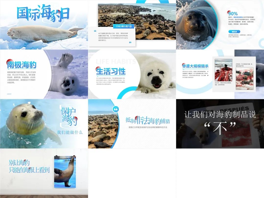 世界野生动植物日保护宣传活动,世界野生动植物保护日英语