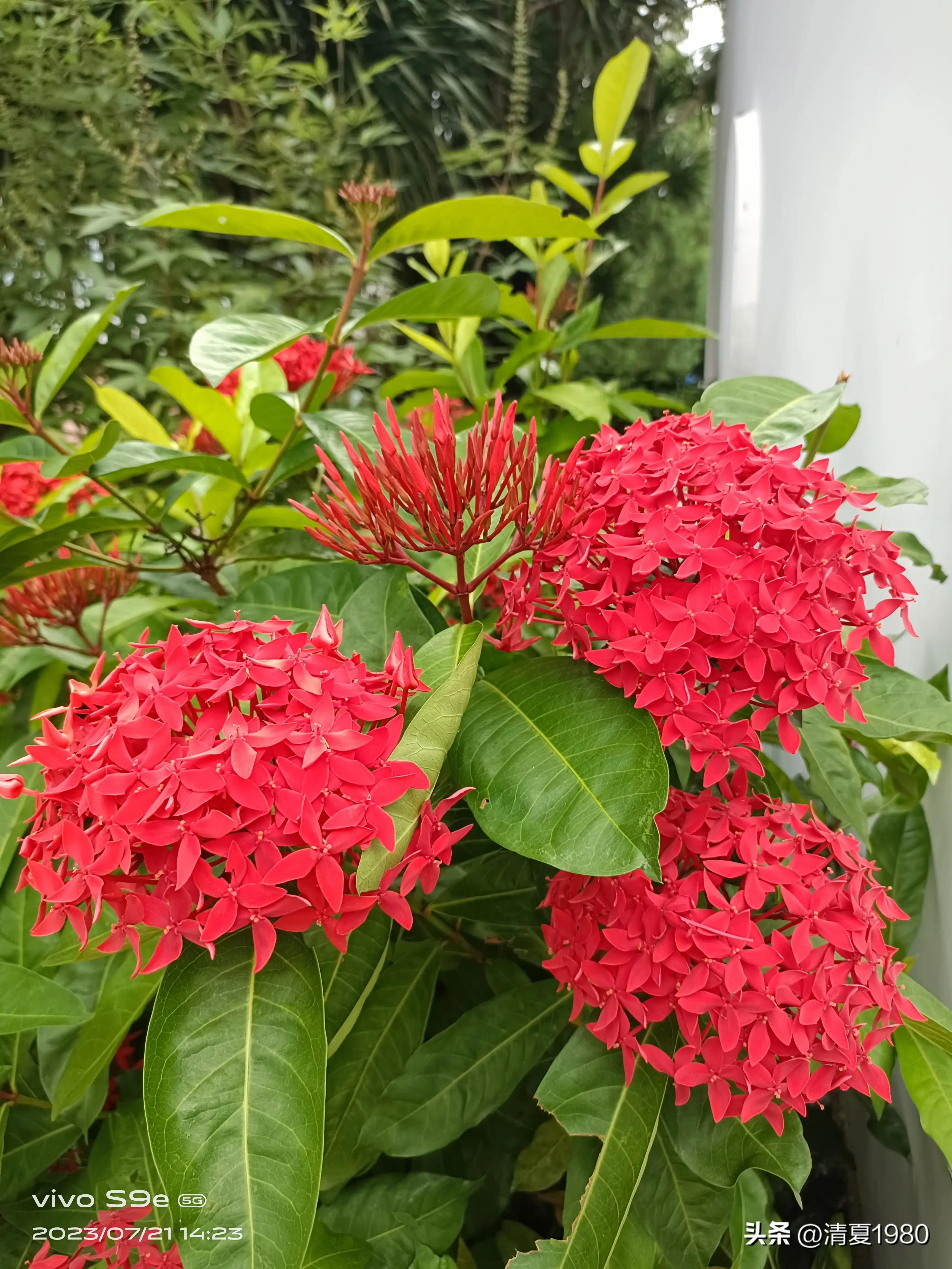 深圳东湖公园门票多少钱一张,深圳东湖公园景点图片高清