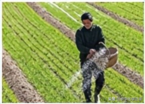 2022年中考化学试卷黑龙江哈尔滨,2022年中考化学试卷及答案