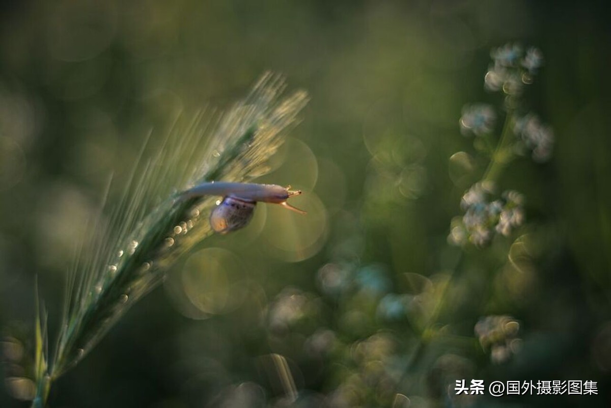 秋天最美大自然图片,春天最美的三十六张照片