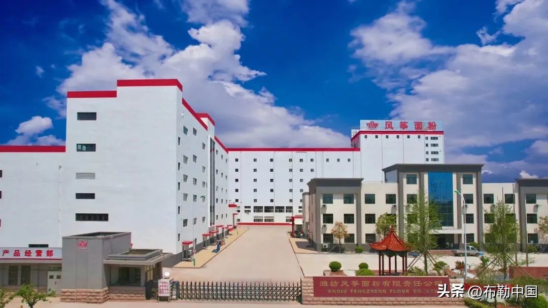 潍坊风筝面粉和香野面粉哪个好,潍坊风筝面粉最新消息