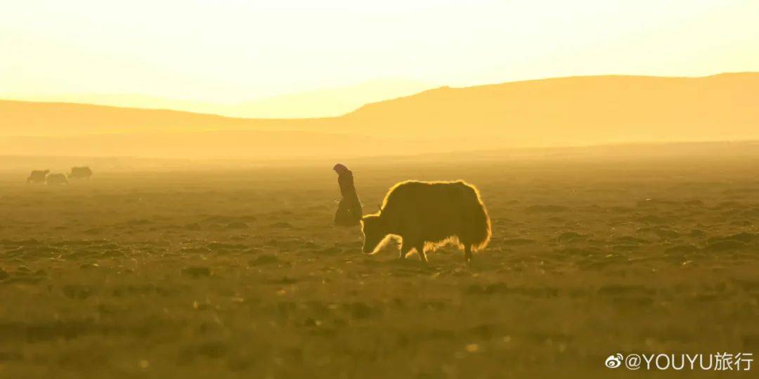 西藏100个最美拍摄点,西藏拍照哪个地方最好看