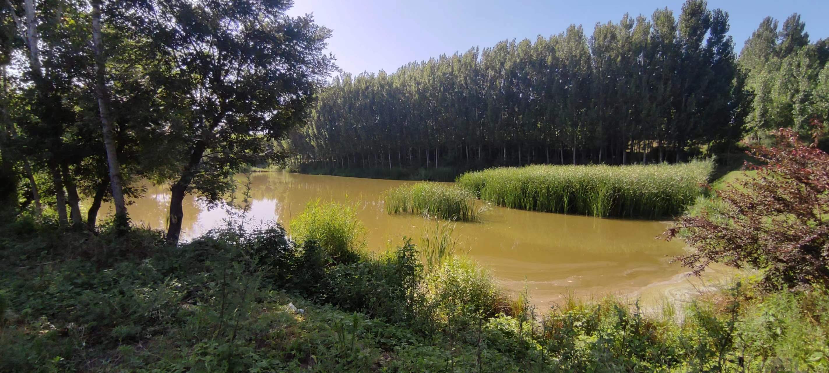 古中国考出彭蠡泽｜张笔魁