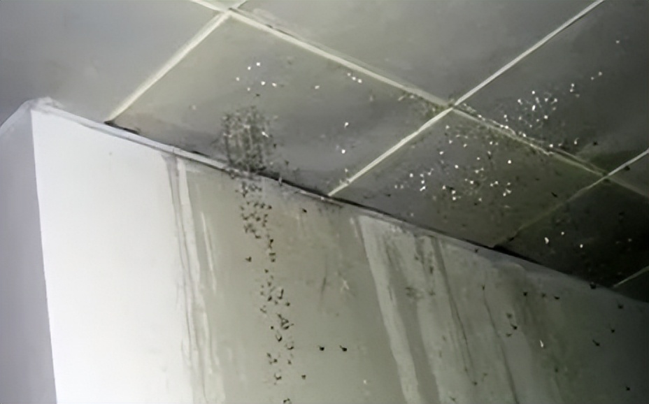 楼顶房屋漏水怎么查找漏水点,天花板上漏水怎么知道是哪里漏水