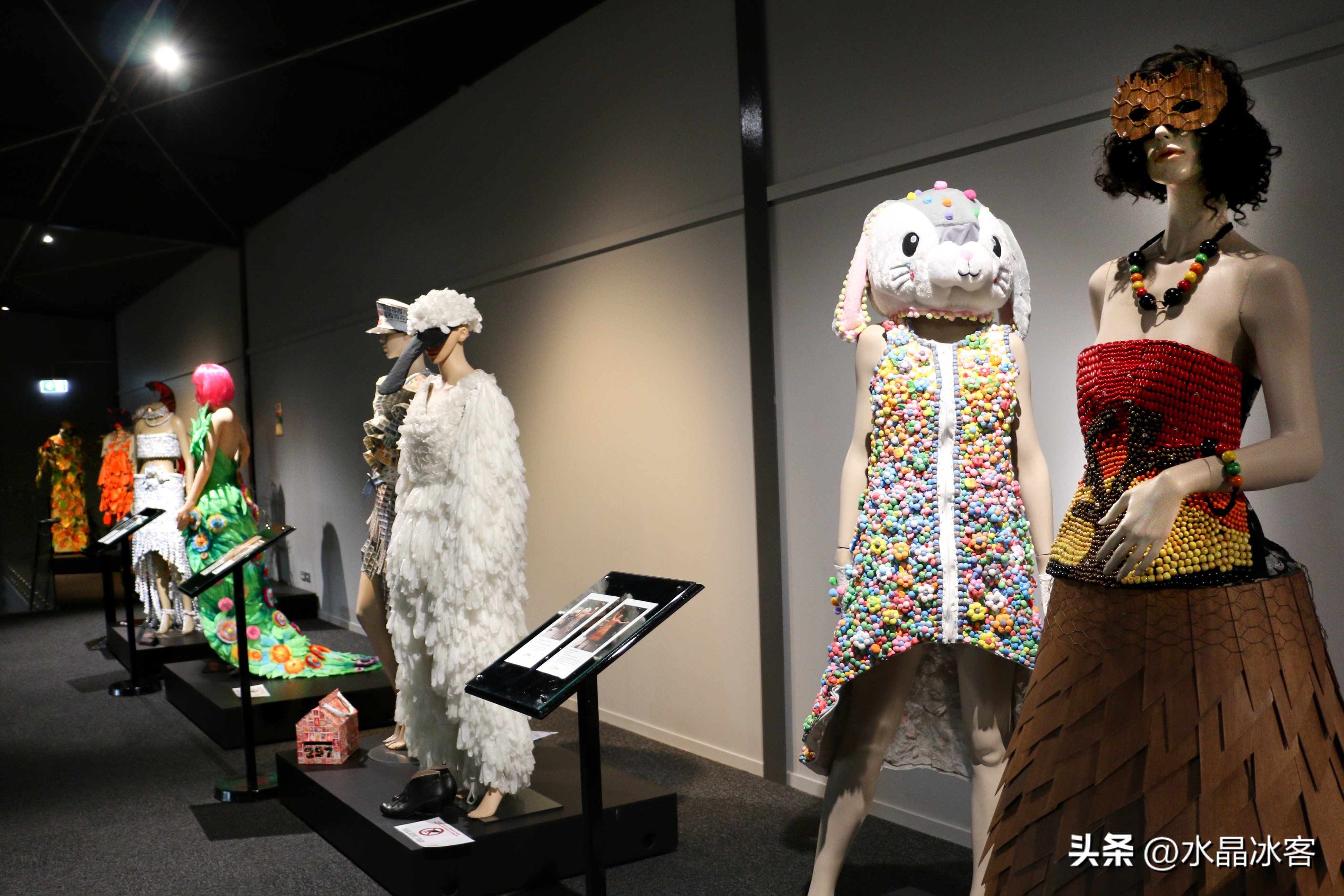 南岛新西兰之旅,新西兰之南岛