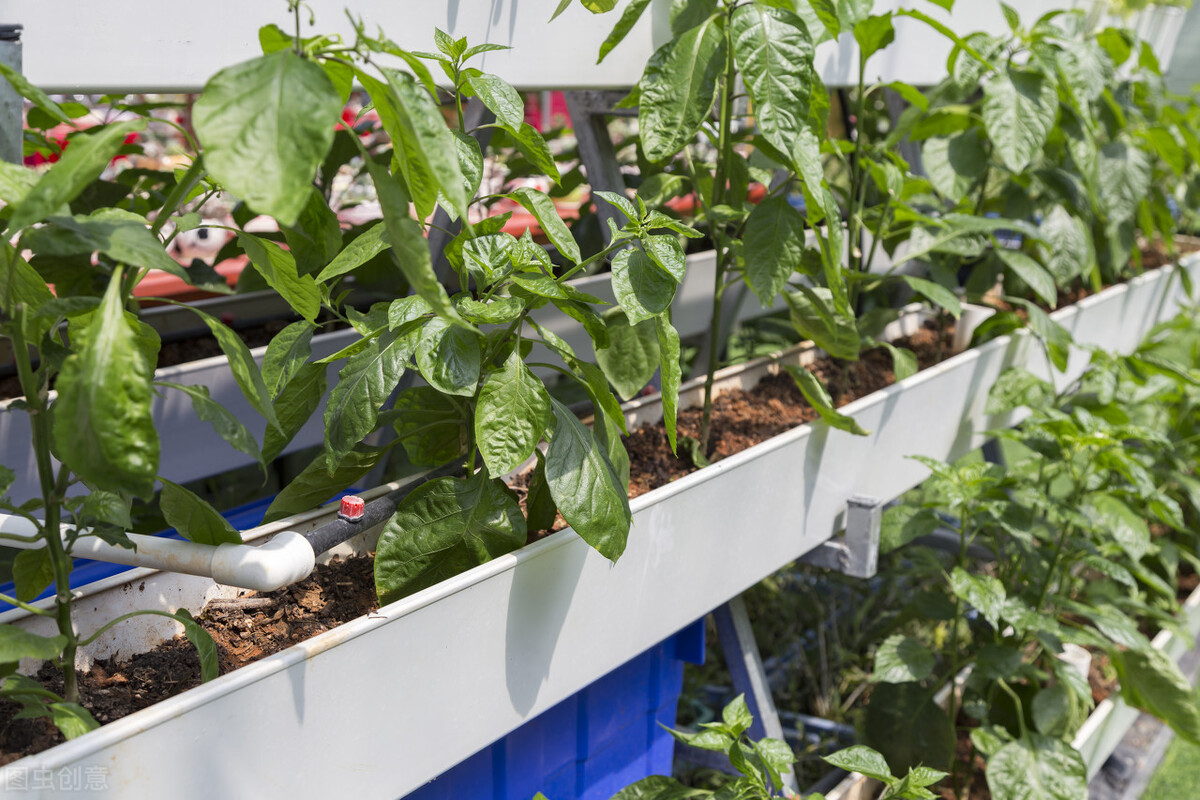 盘点四个专科层次的农学专业，就业质量很高，未来不输普通本科生