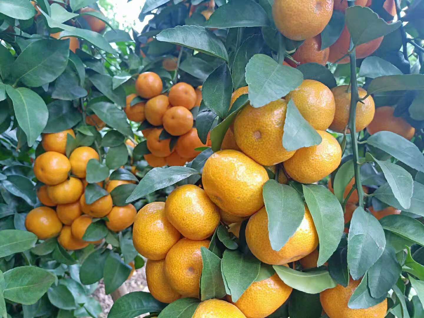 行业不景气怎么办,行业不景气如何创业