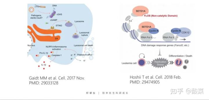 sci作图最好的软件,graphpadprism作图原理