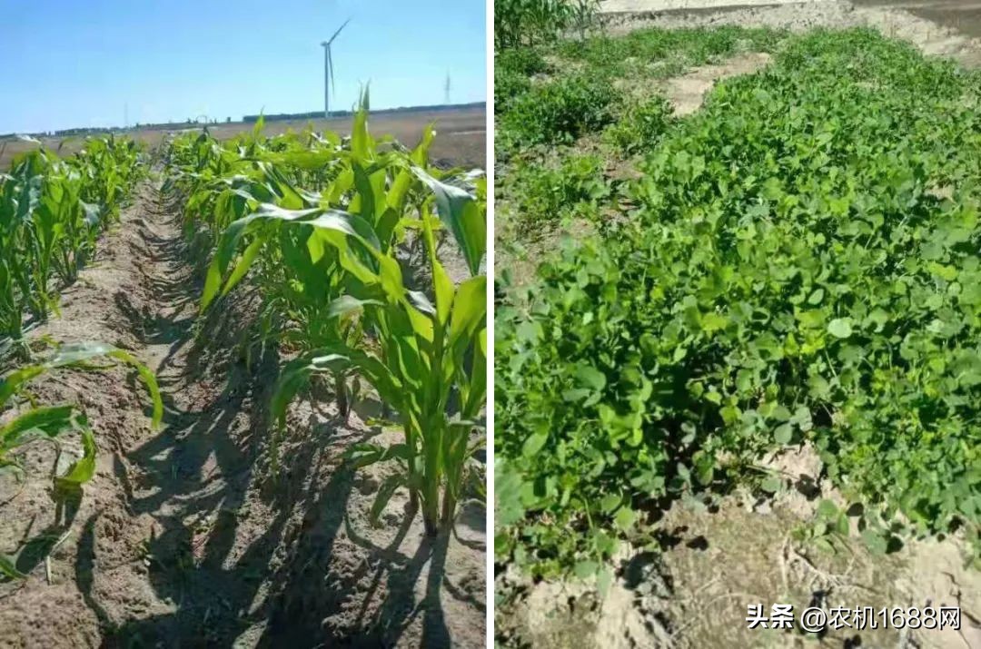 两代人创业,两代人一起创业