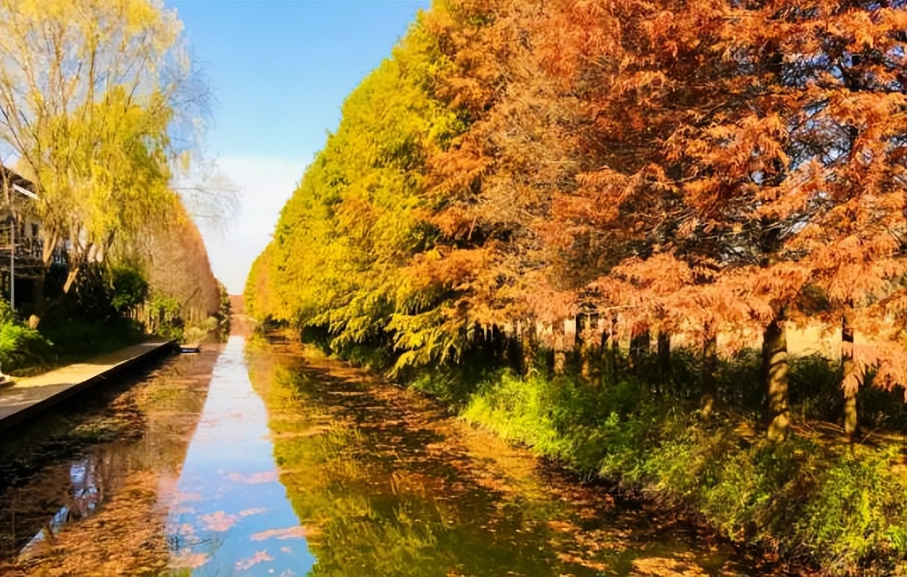 苏州最适合旅游的地方,苏州最有烟火气老街