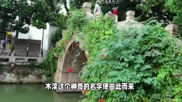 木渎古镇是江南著名的风景名胜区,苏州木渎古镇江南水乡美如画