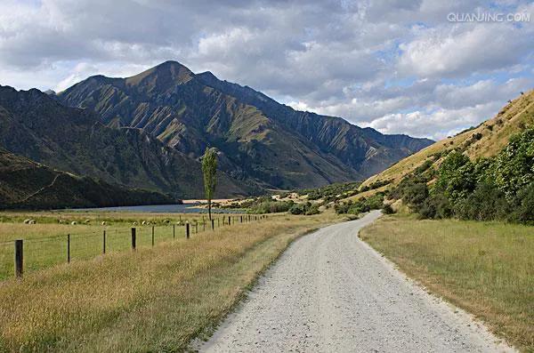 生活在新西兰的羊驼,生活在新西兰的中国人