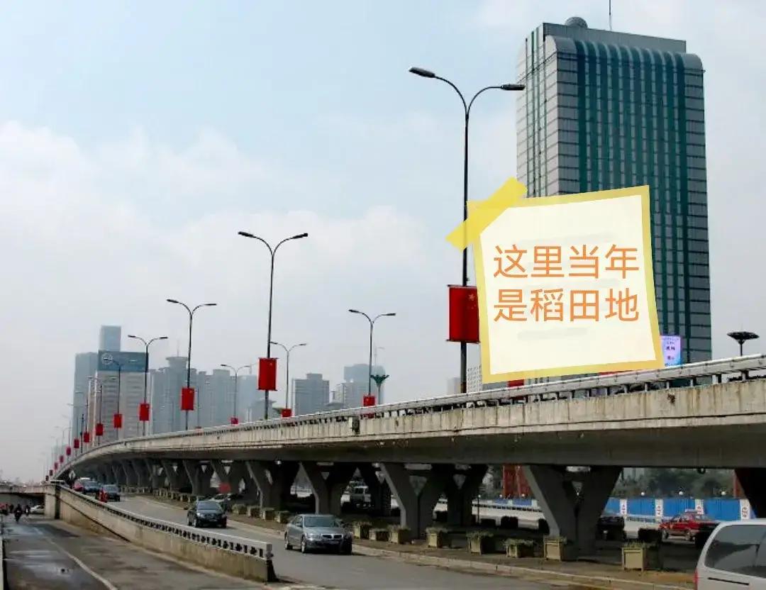 当兵去陆军集团军咋样,陆军总院当兵体检