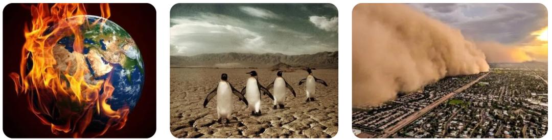 厄尔尼诺变暖概念股,厄尔尼诺概念股价格