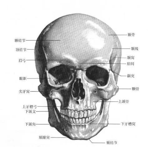怎样成帅哥,惊艳型帅哥养成方法