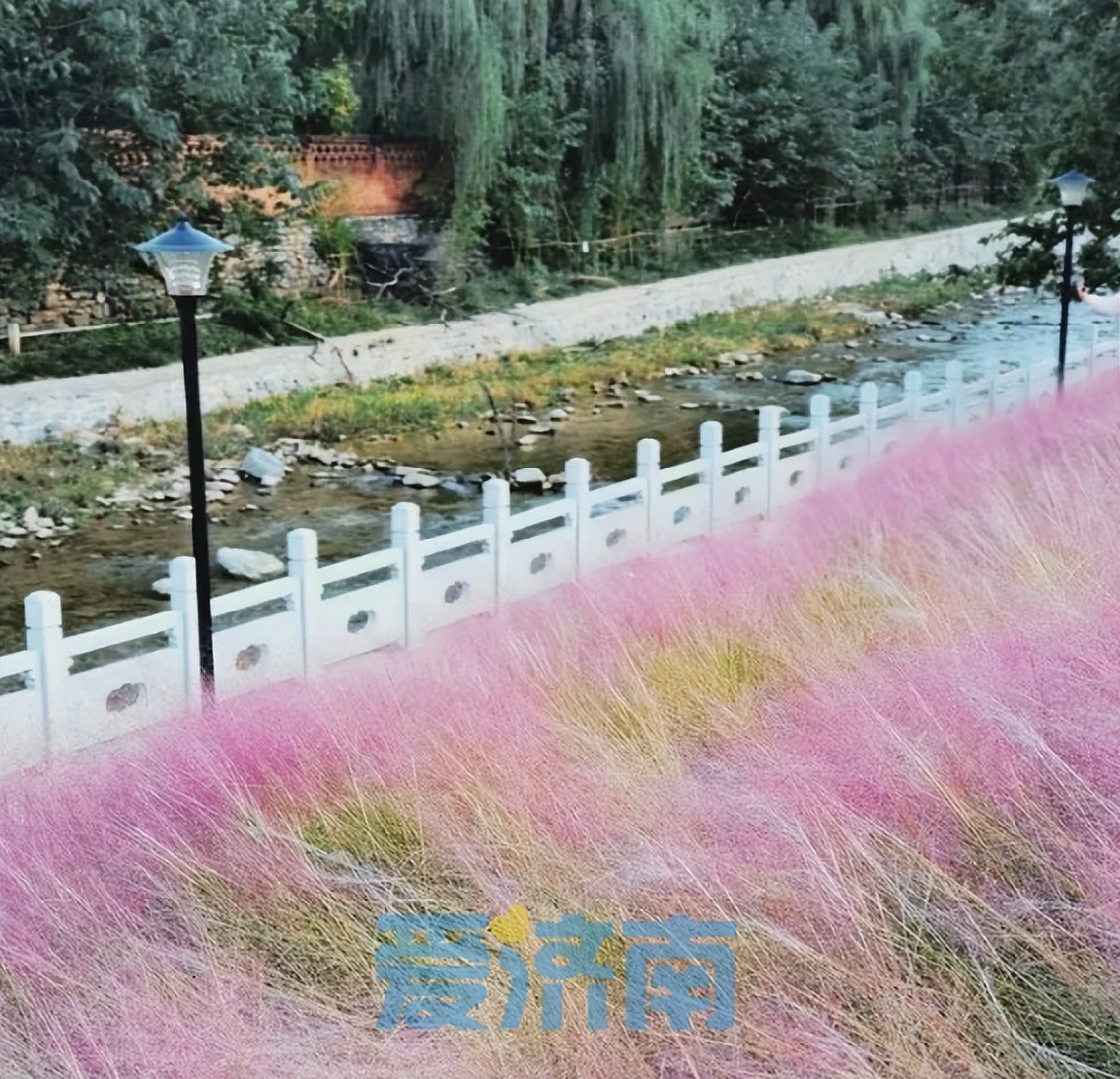 济南遛娃好玩的地方,济南冬天遛娃好去处