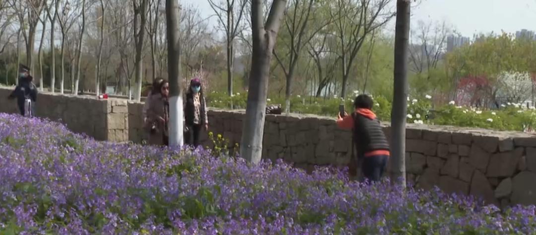 【城事】恰百花盛开品生活如蜜