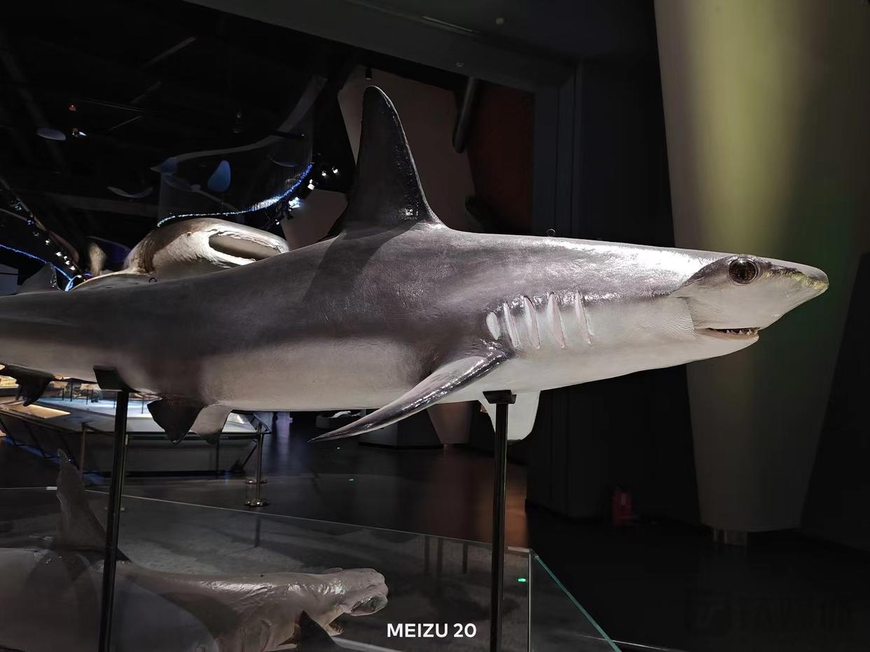 魅族20pro最新版本值得购买么,魅族20pro买哪个版本好