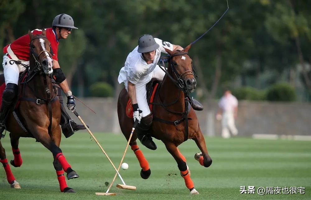 爸爸的polo衫,老爸穿的polo衫