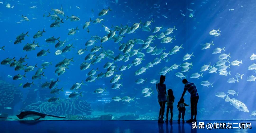 去珠海长隆海洋王国攻略三天两夜,珠海长隆海洋王国3天旅游攻略