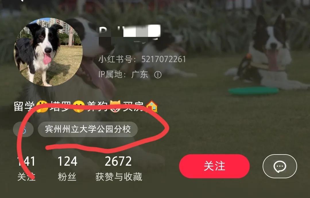 广州普通的城中村一年分红多少,广州城中村分红最多