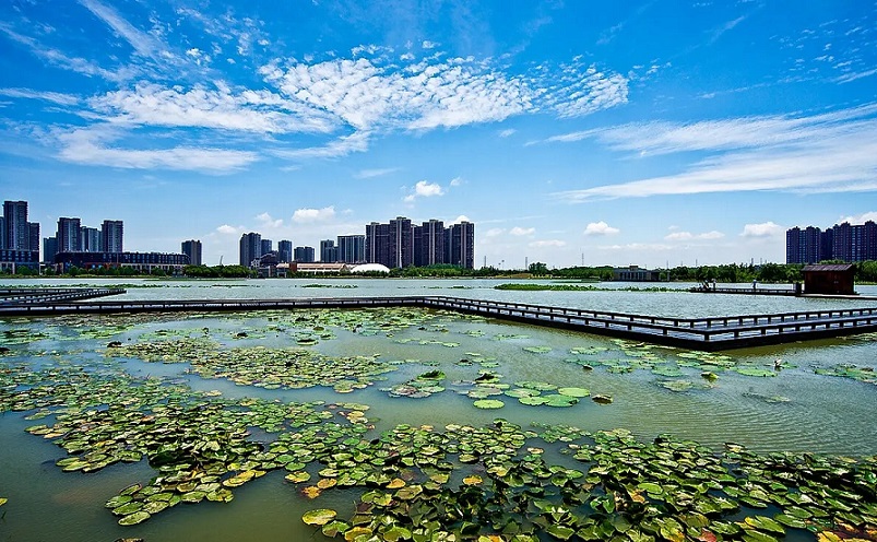 12月南京有哪些免费景点,南京市民免费旅游景点