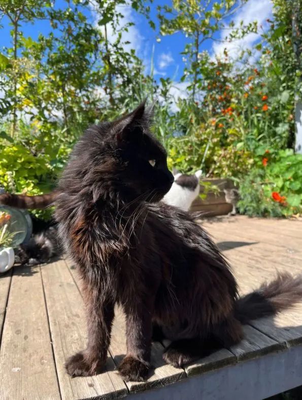 食物故事纪录片,食物故事大全完整版