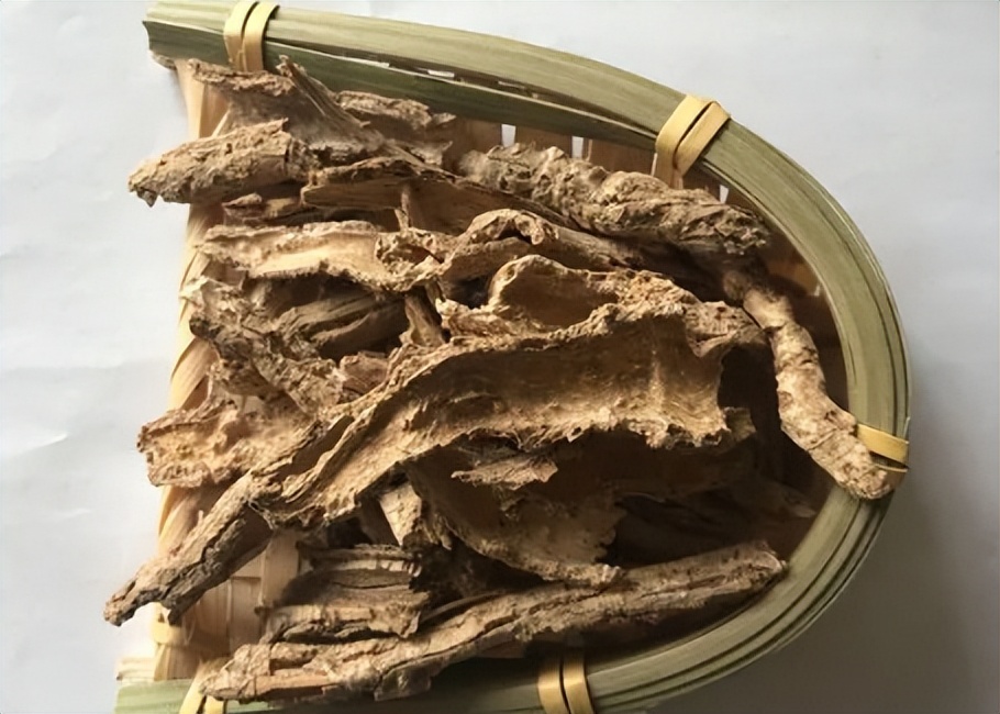 一味地骨皮泡水喝的功效,地骨皮的功效秘方