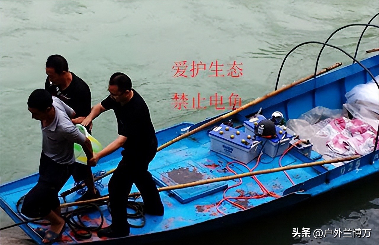 电鱼不小心被电了有危害吗,电鱼对人的危害大吗