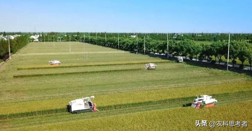 中国的家庭农场如何发展,家庭农场发展面临的问题及建议