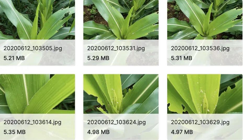 100+深度学习开源数据集分类汇总