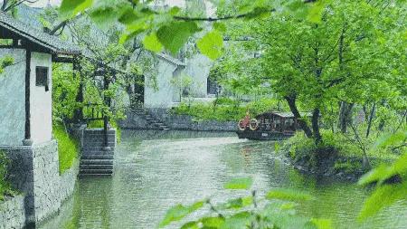 折柳送别古诗词,古诗词送别朗诵