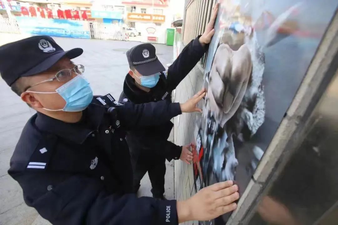 从橄榄绿到警服蓝续写,从橄榄绿到警服蓝配图
