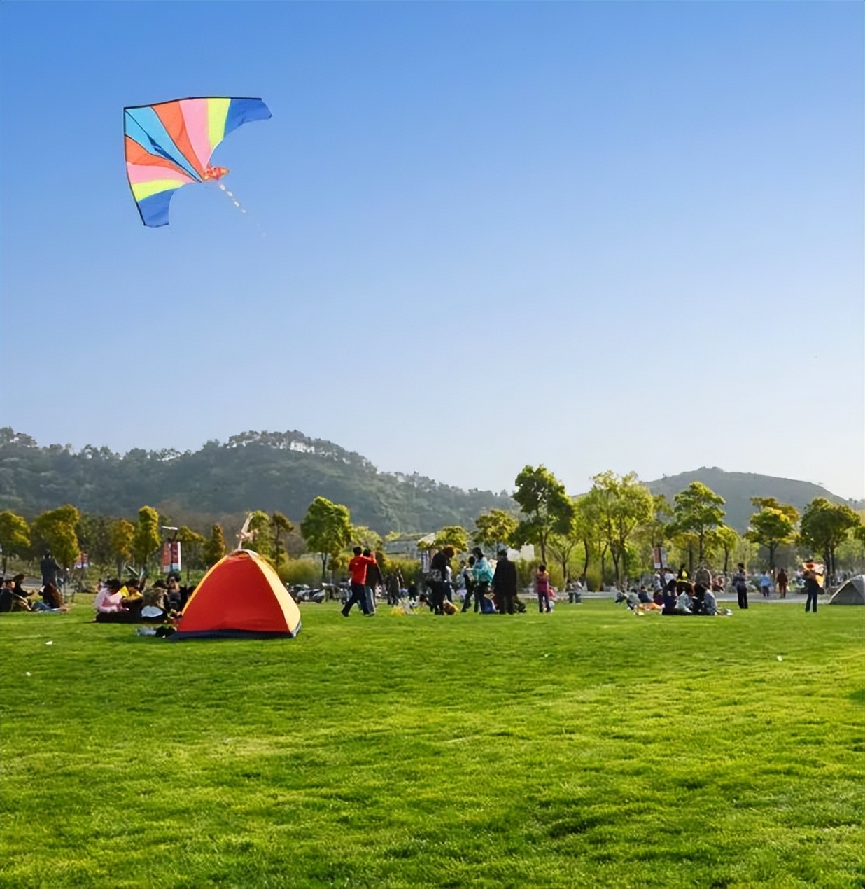 青岛世博园在哪里怎么坐公交车去,青岛世博园戏雪嘉年华攻略