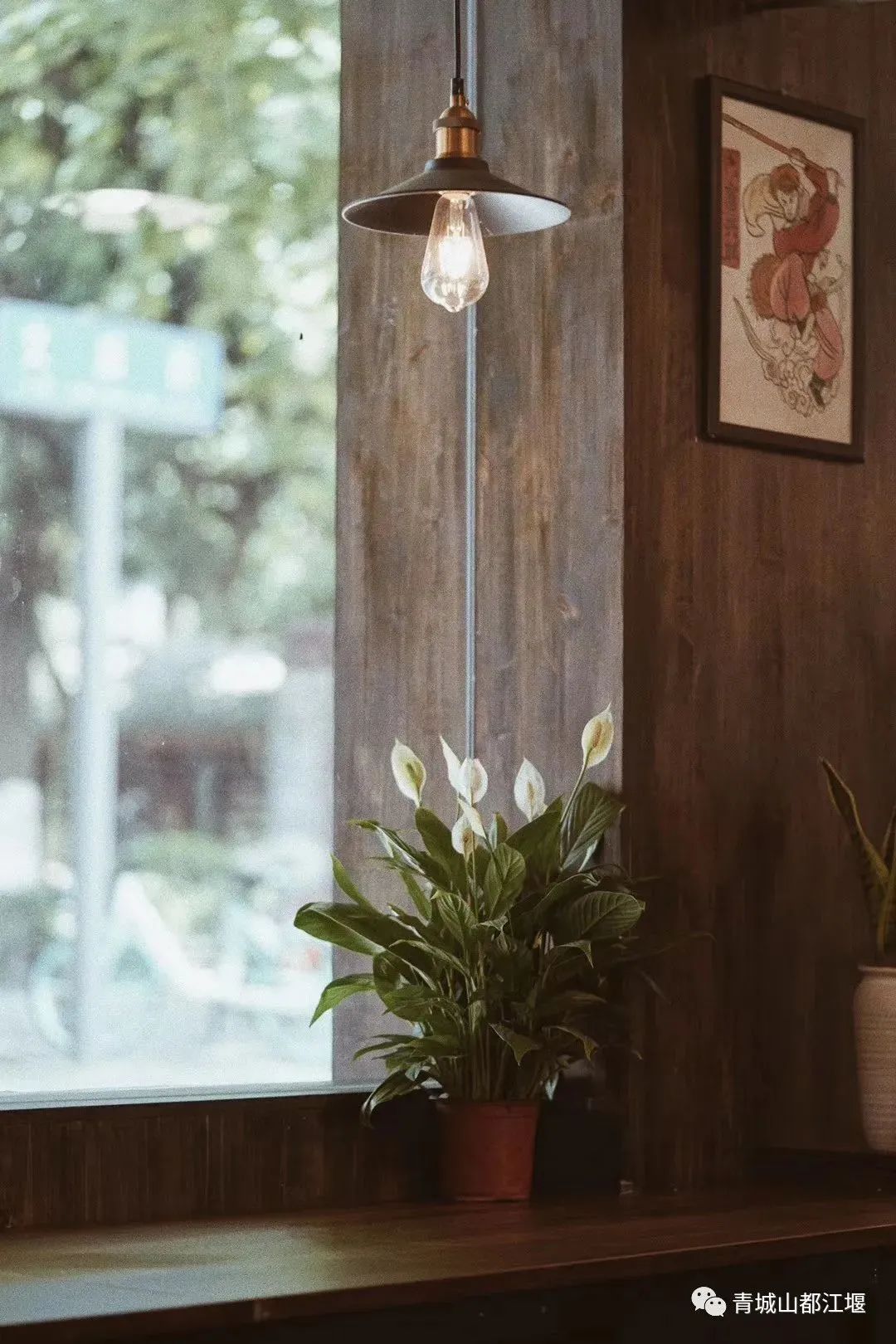 超安逸！水灵妹带你打卡都江堰6条烟火气十足的老街，告别喧嚣和浮躁，邂逅静美冬日~