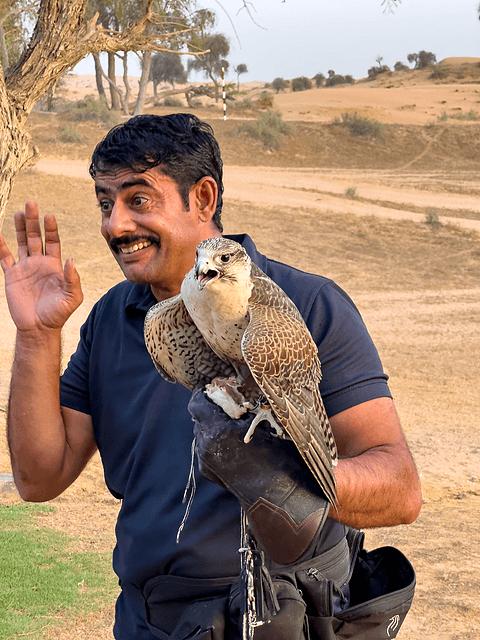 哈伊马角利兹卡尔顿,哈伊马角沙漠丽思卡尔顿酒店