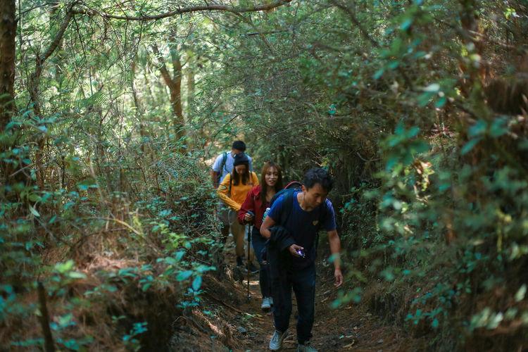 大理苍山洱海旅游攻略,苍山洱海大理旅游攻略
