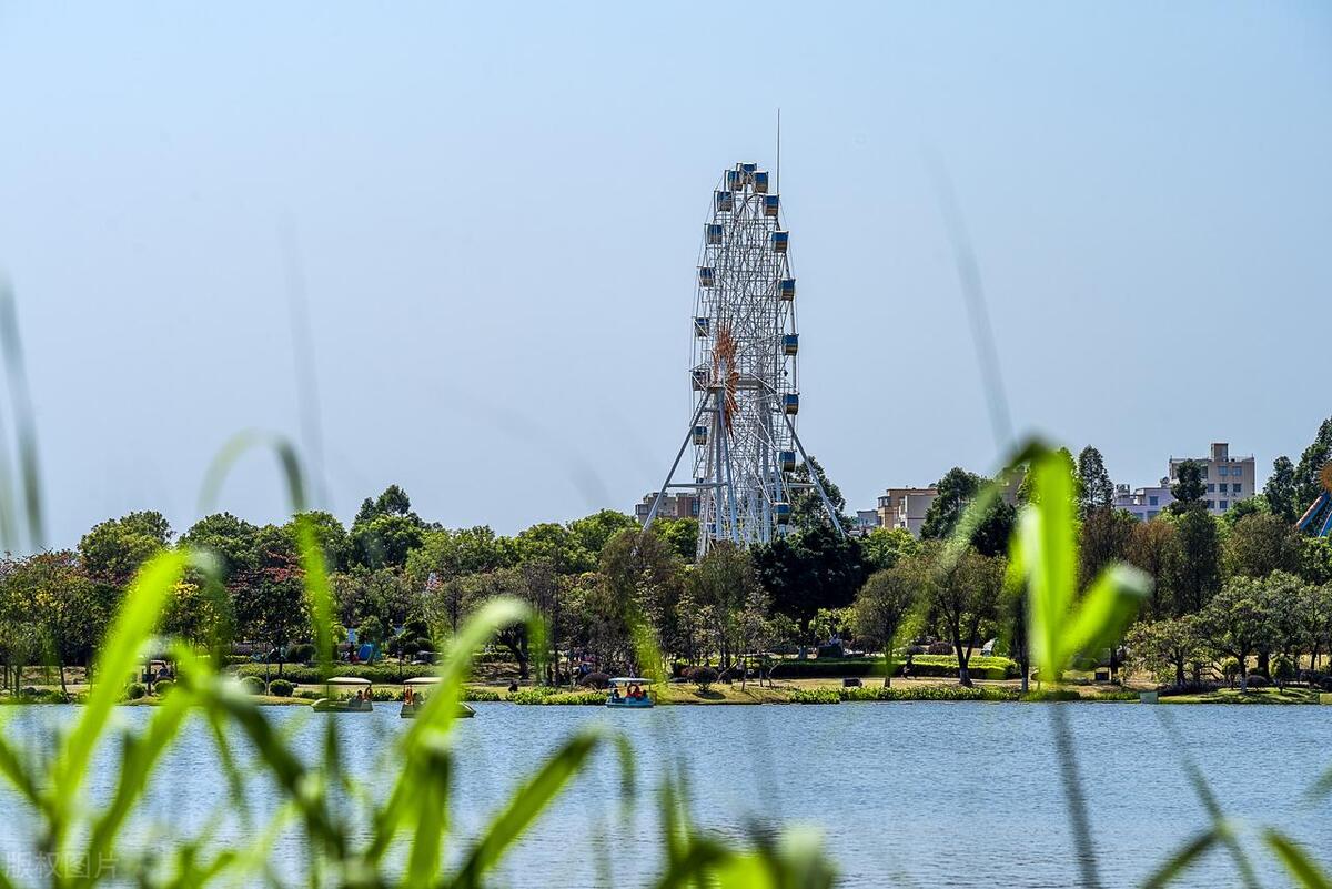 广州最美的公园是哪个公园,广州风景最美的十大公园