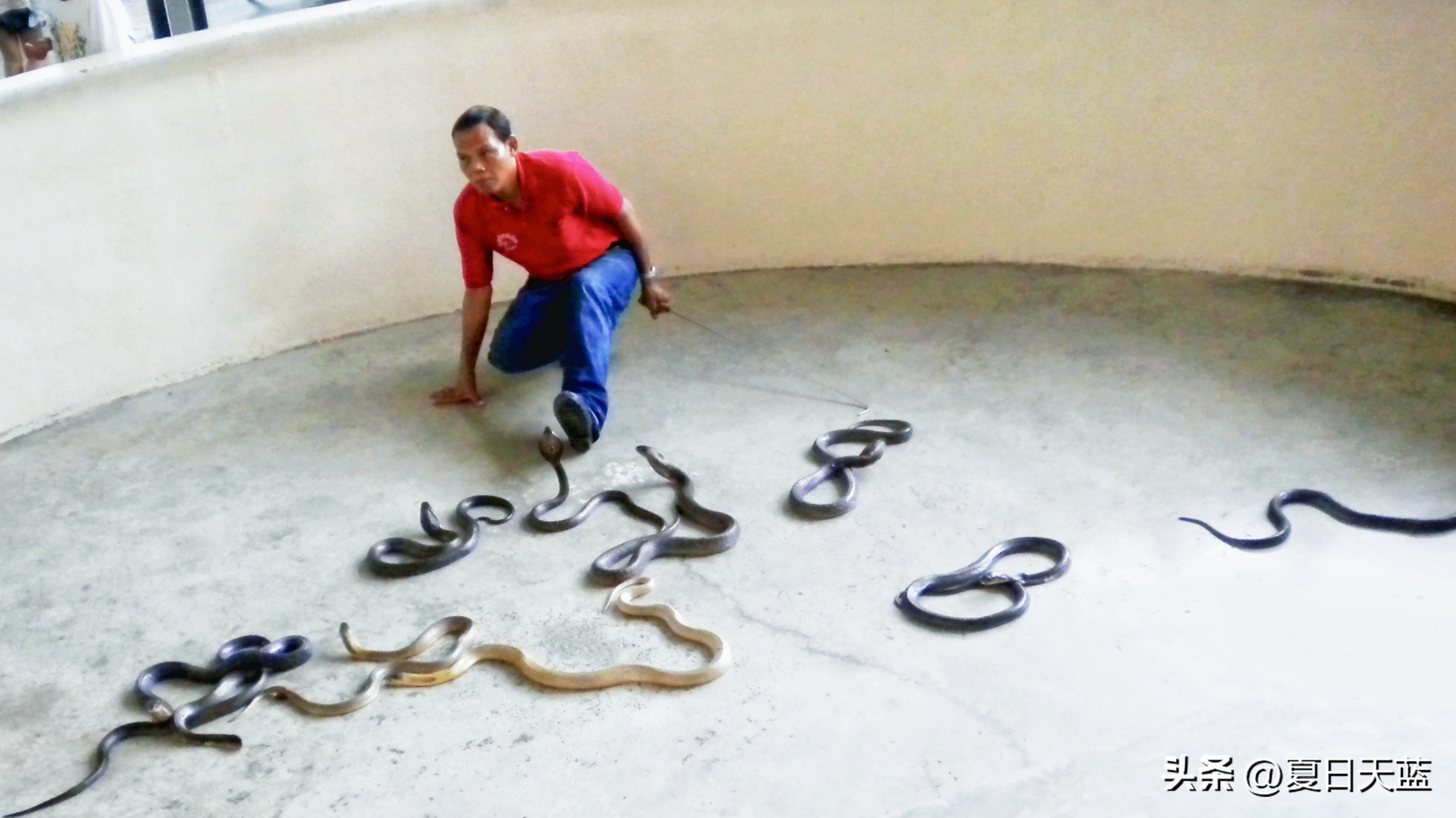 行走东南亚泰国,豪华不一样的东南亚之旅了解一下