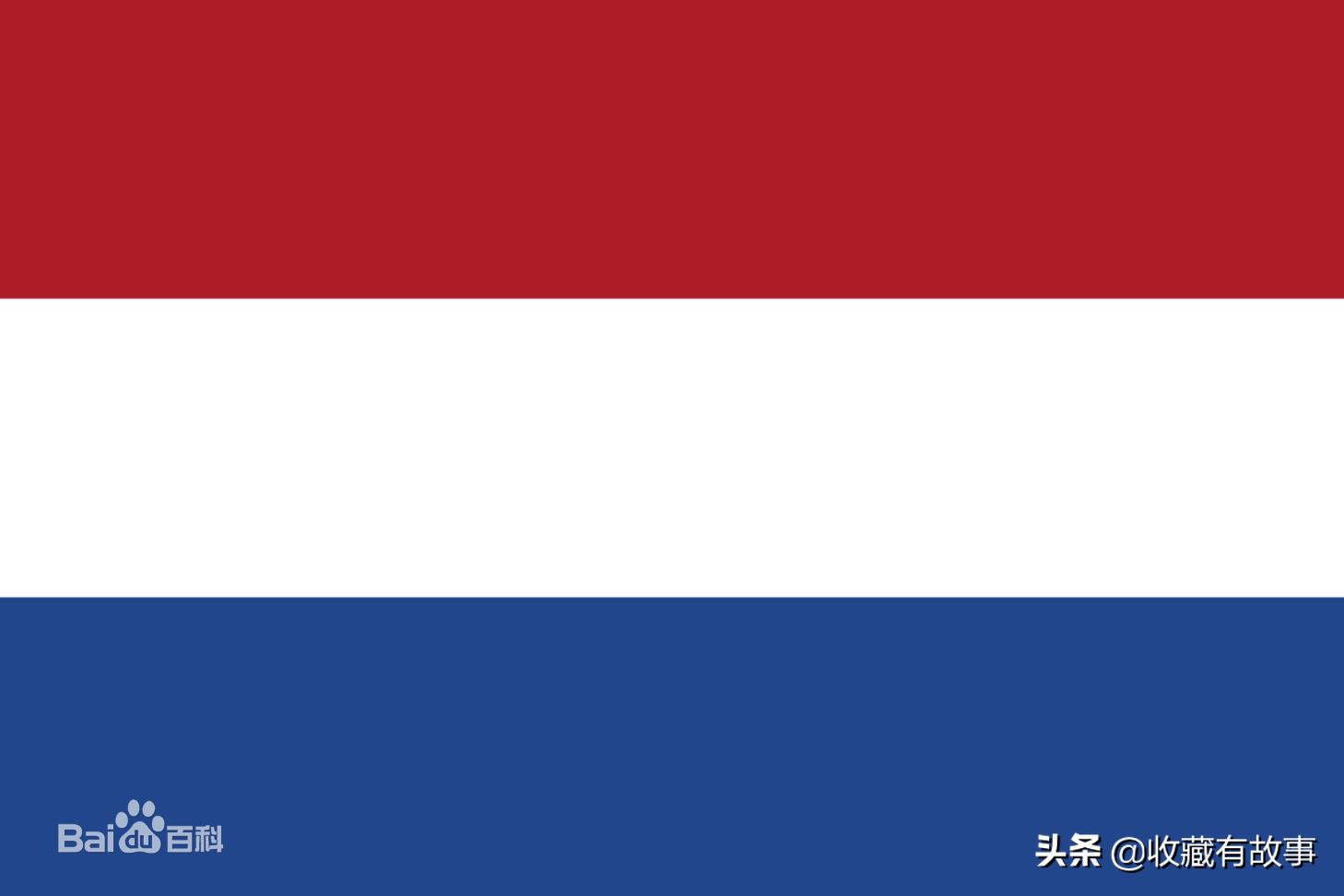 盾形徽章logo,盾牌和鸟的徽章