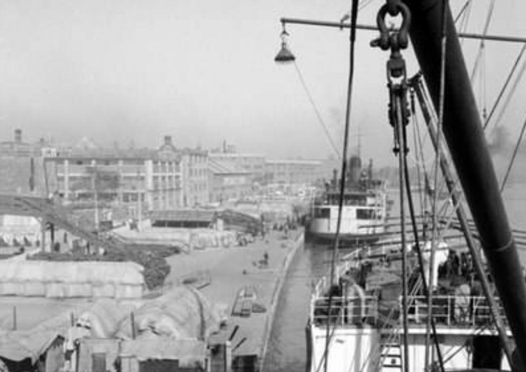 荷兰女孩嫁到中国,荷兰姑娘嫁入中国