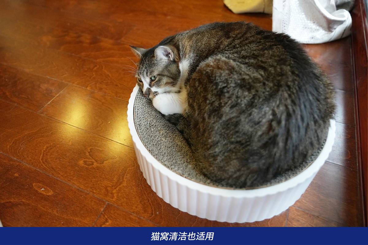 戴森吸猫毛神器,戴森宠物毛发清洁套装