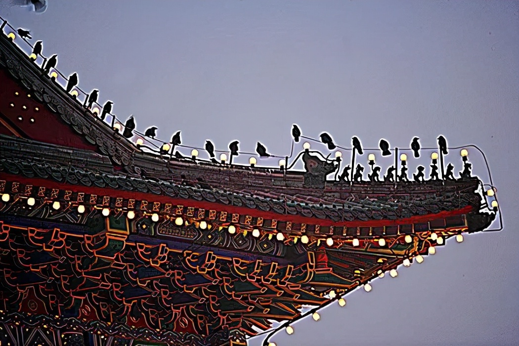 鐧鹃笩楦ｆ槬楂樻竻鍥剧墖,鐧鹃笩楦ｆ槬椋庢櫙瑙嗛