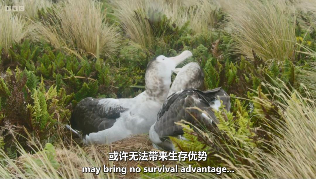 模范夫妻离婚了吗,再恩爱的夫妻最后都会离婚吗