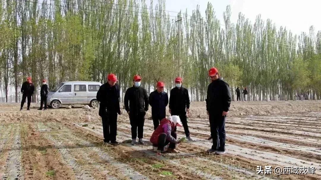 【西域·校园】总第043期‖山水一程青春之幸景泰一中开展研学掠影