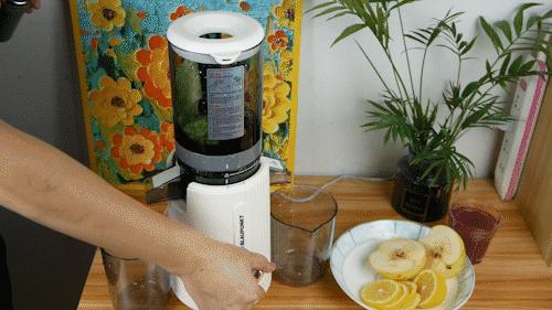 蓝宝的冰淇淋机,德国蓝宝榨汁杯冰淇淋