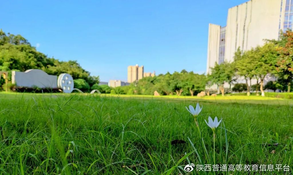 重庆传媒职业学院的单招分数线,重庆传媒职业学院校历2021-2022
